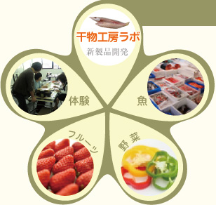 ソフト干物工房ラボ　ソフト干物体験イメージ図