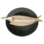 カマス