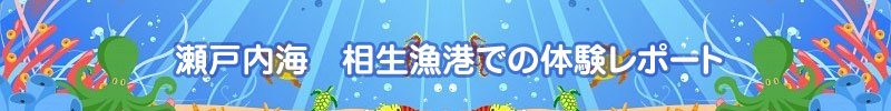 瀬戸中井　相生漁港での体験レポート